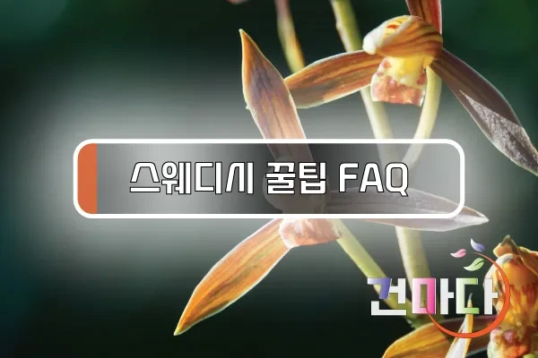 스웨디시꿀팁FAQ.webp